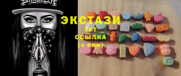 крисы Коряжма