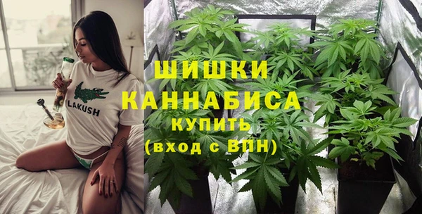 мдпв Корсаков