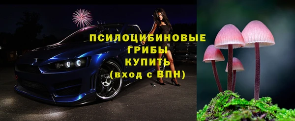 крисы Коряжма