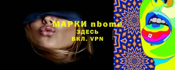 крисы Коряжма