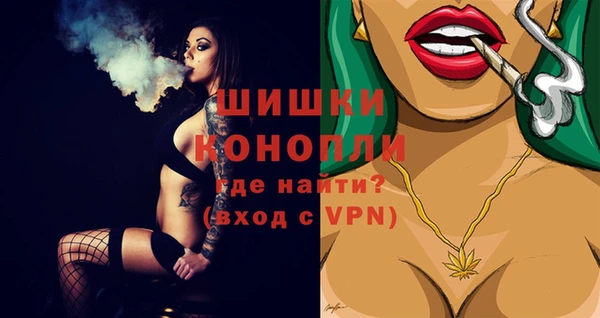 крисы Коряжма