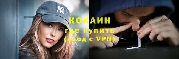 крисы Коряжма