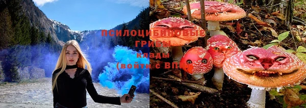 крисы Коряжма