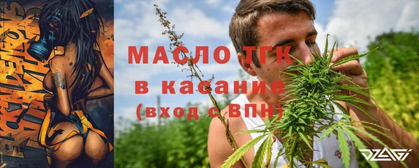 крисы Коряжма