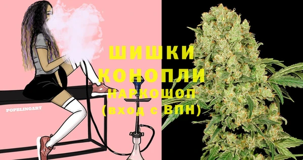 мдпв Корсаков