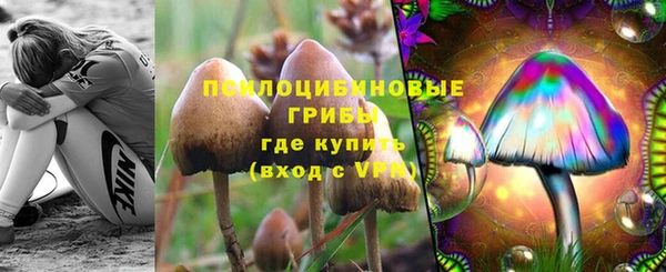крисы Коряжма